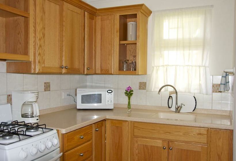 استودیوی استاندارد, Adulo Apartments