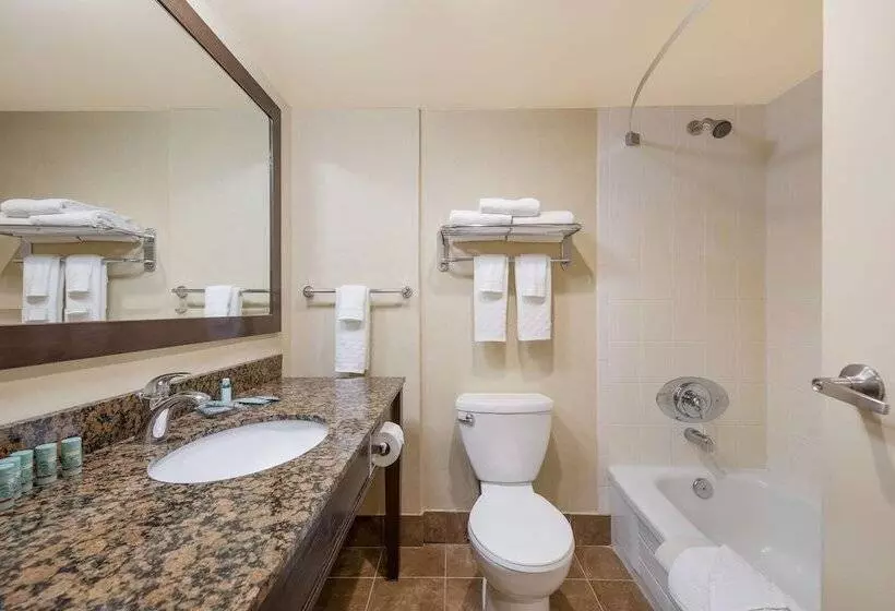 ２ダブルベッドのスタンダードルーム, Best Western Voyageur Place