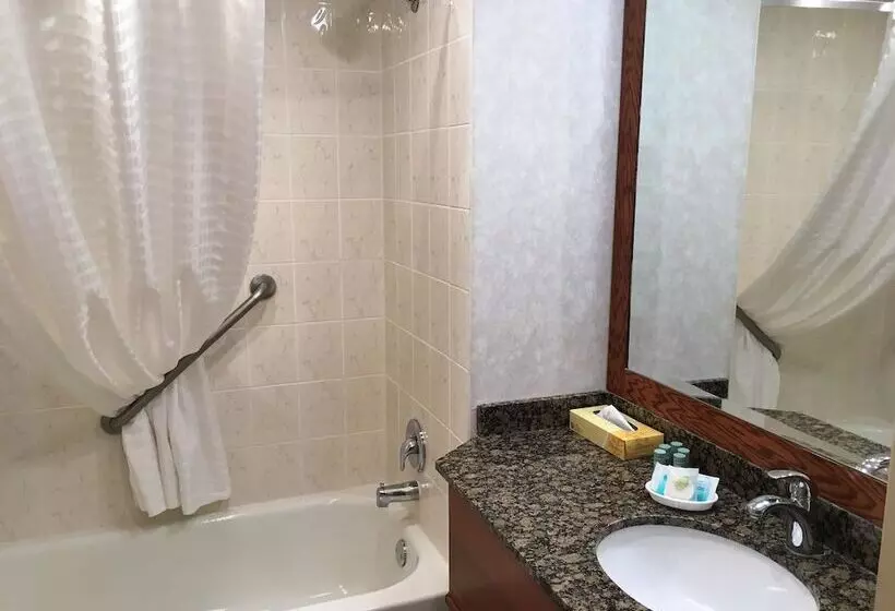 ２ダブルベッドのスタンダードルーム, Best Western Voyageur Place