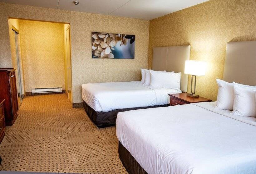 غرفه قياسيه سريرين مزدوجين, Best Western Voyageur Place