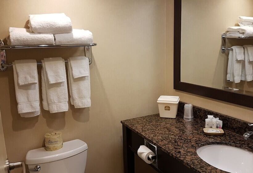 Люкс, Best Western Voyageur Place