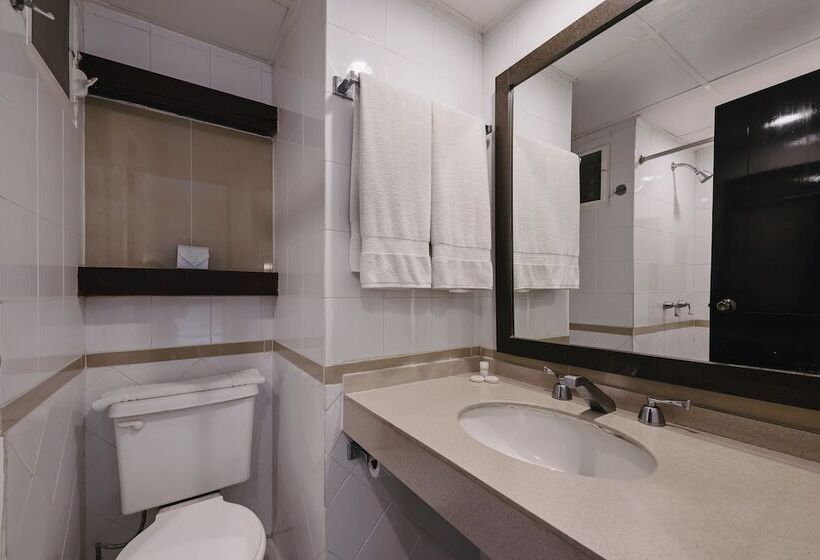 חדר סטנדרט יחיד, Colonial De Merida