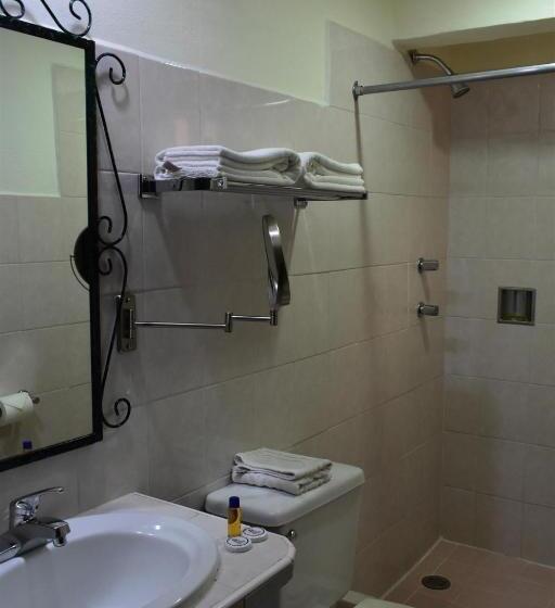 经济房, Maya Tulipanes