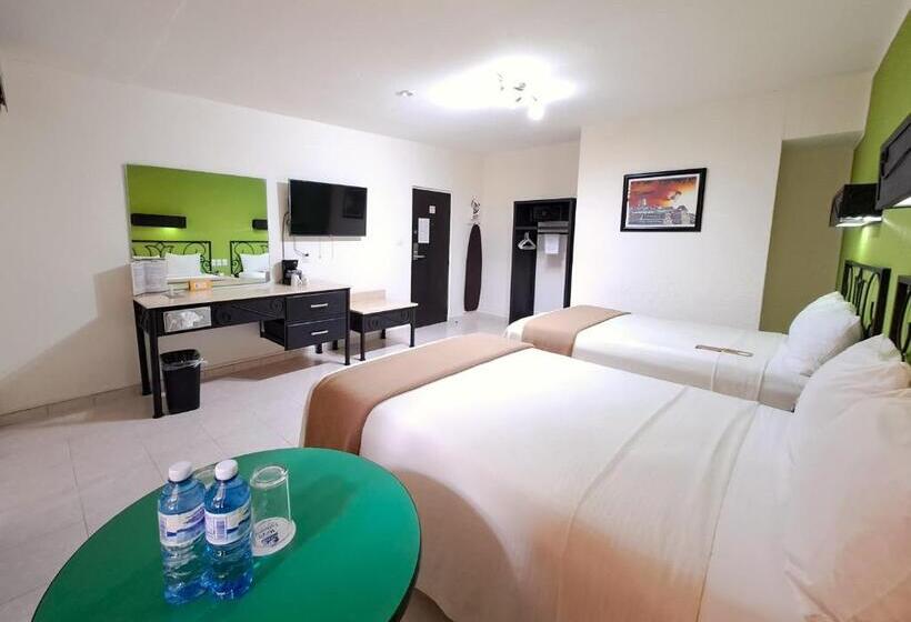 经济房, Maya Tulipanes