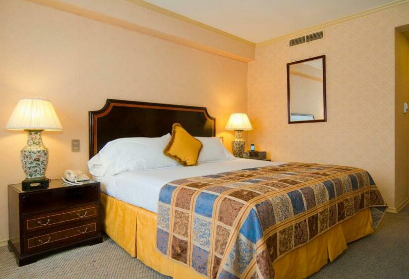 חדר סטנדרט, Park Plaza Santiago