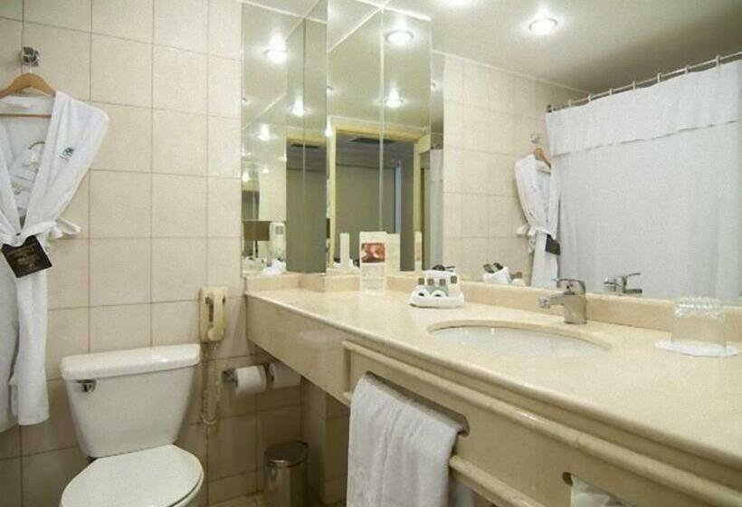 חדר סטנדרט, Park Plaza Santiago