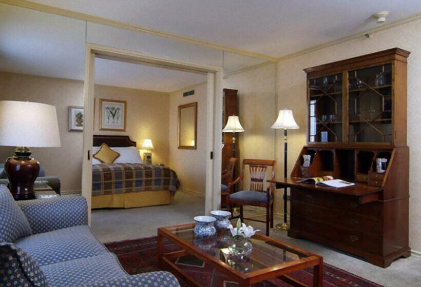 سوئیت مستر, Park Plaza Santiago