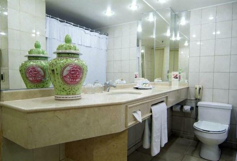 סוויטת מאסור, Park Plaza Santiago