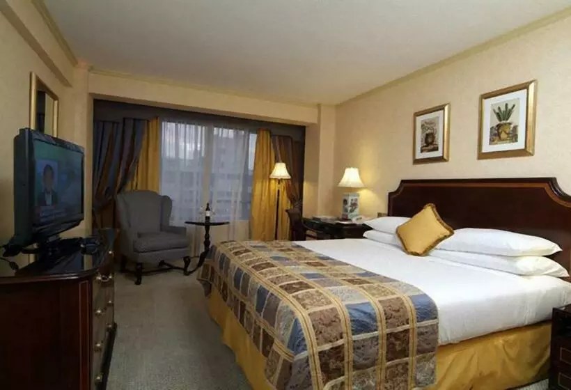 اتاق استاندارد یک نفره, Park Plaza Santiago