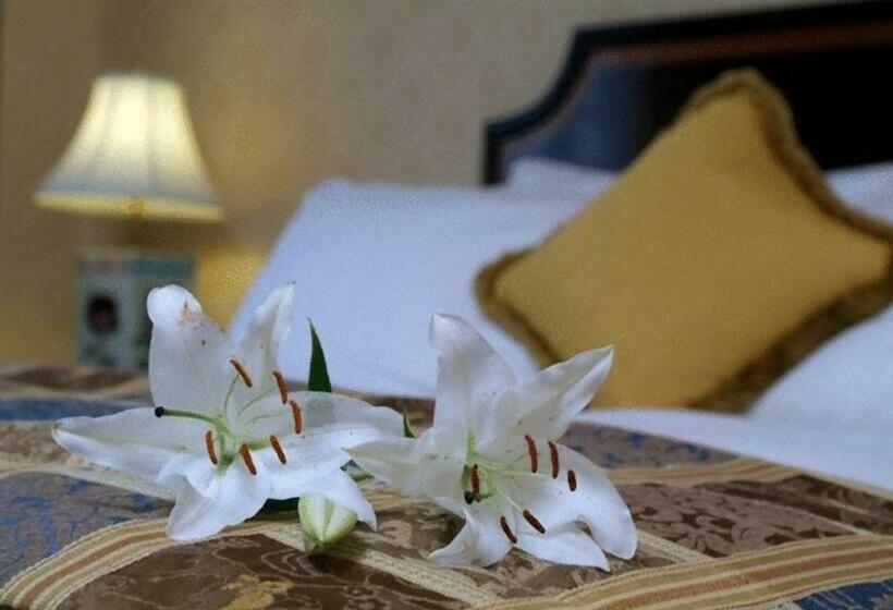 חדר קלאב יחיד, Park Plaza Santiago