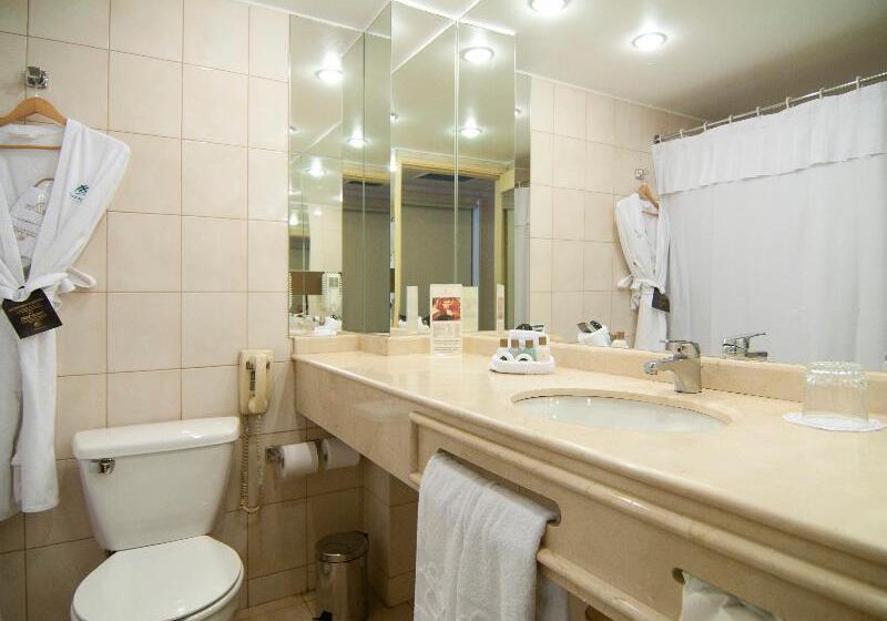 חדר סטנדרט, Park Plaza Santiago