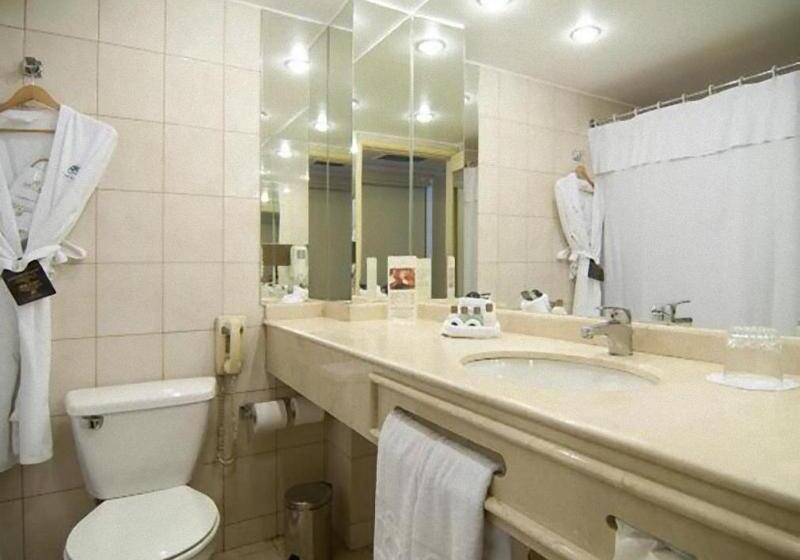 اتاق استاندارد یک نفره, Park Plaza Santiago