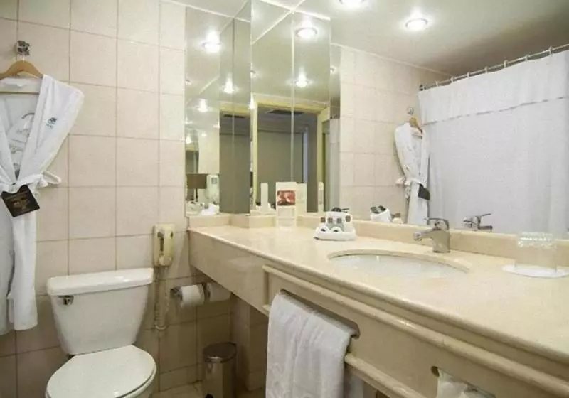 اتاق استاندارد یک نفره, Park Plaza Santiago