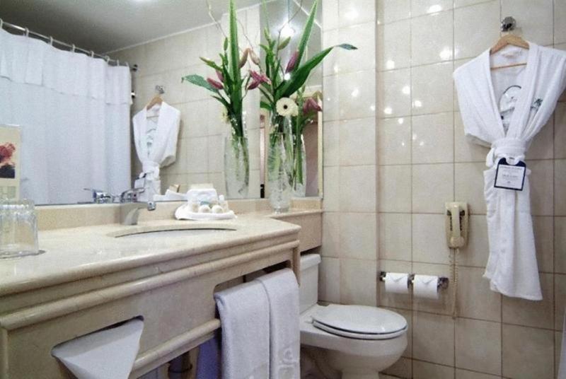 חדר סטנדרט יחיד, Park Plaza Santiago