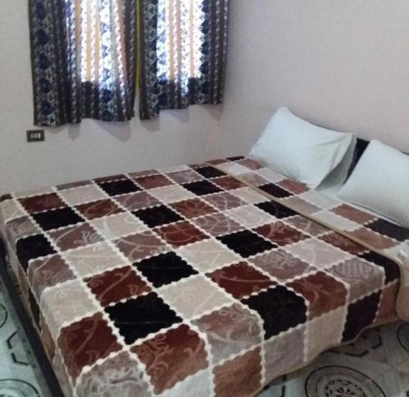 اتاق استاندارد, Pharaohs