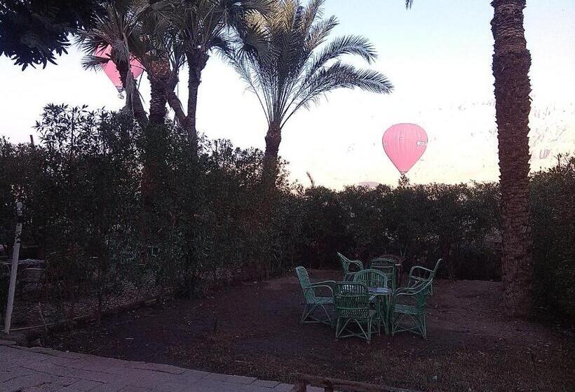 اتاق استاندارد, Pharaohs