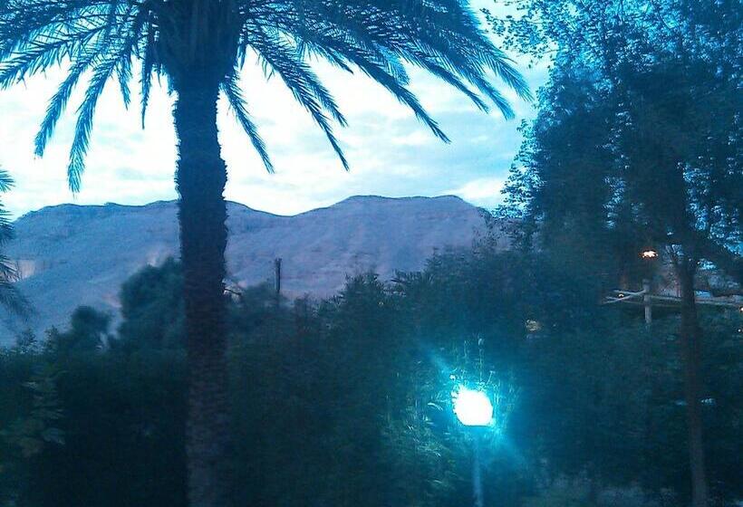 اتاق استاندارد, Pharaohs