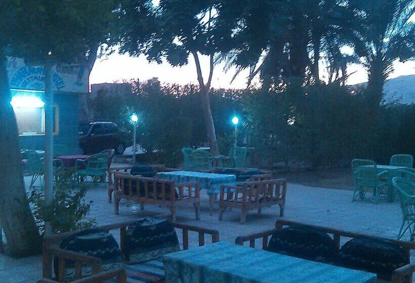 اتاق استاندارد, Pharaohs