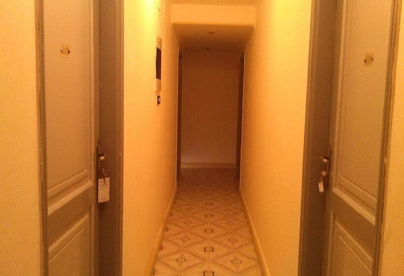 اتاق استاندارد با تراس, Pharaohs