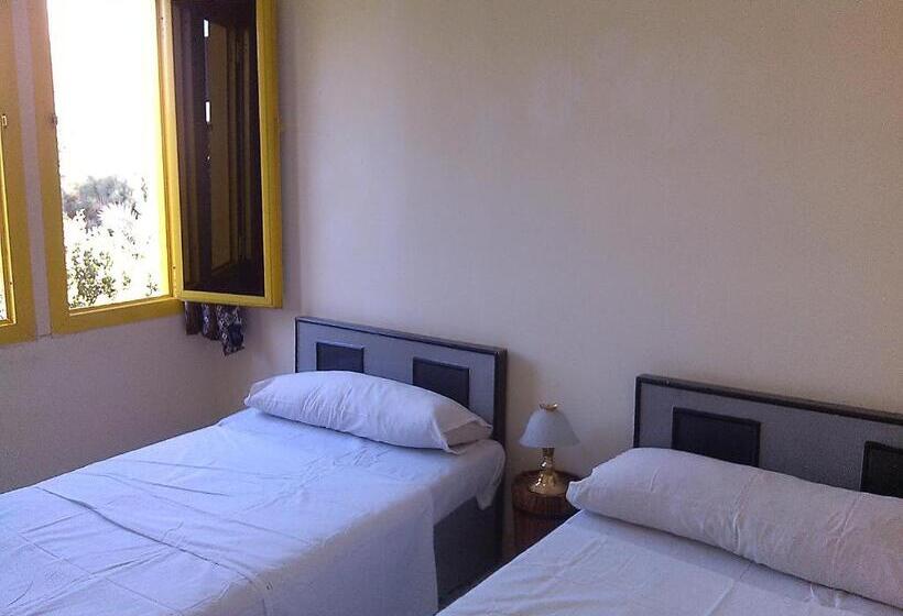 اتاق استاندارد با تراس, Pharaohs