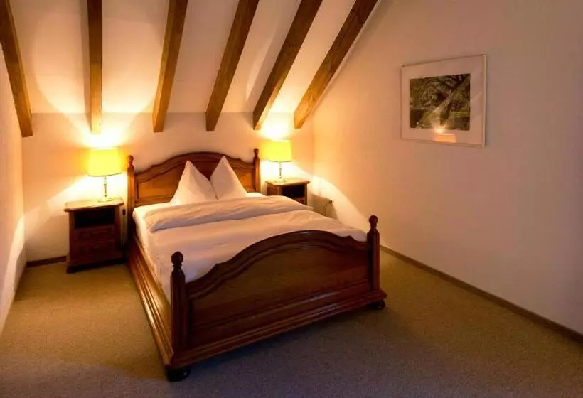 スタンダードルーム, Romantik Hotel Zu Den Drei Sternen