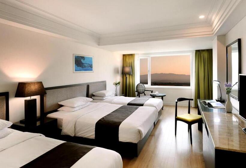 Трехместный Номер Deluxe, Jeju Oriental Hotel & Casino