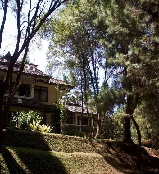 Habitació Deluxe, Puteri Gunung