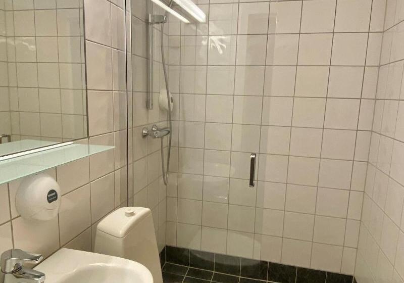 اتاق استاندارد یک نفره, Stryn