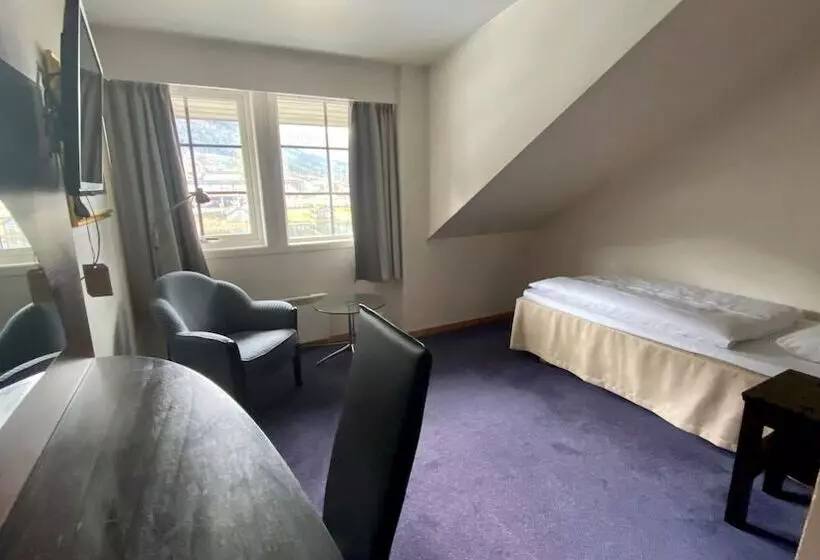 اتاق استاندارد یک نفره, Stryn