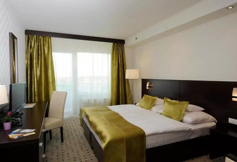 اتاق استاندارد با چشم‌انداز, Hunguest Hotel Gyula