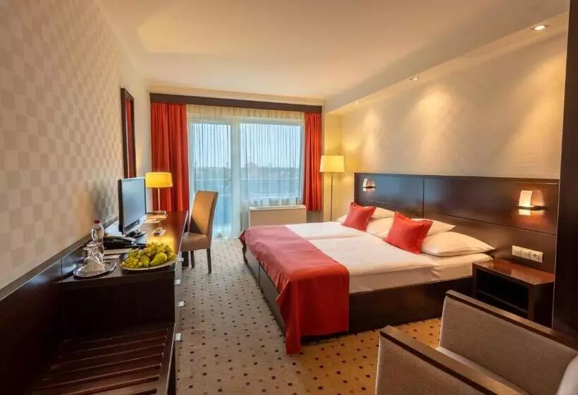 اتاق استاندارد با چشم‌انداز, Hunguest Hotel Gyula