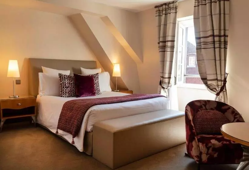 اتاق سوپریور, & Spa Regent Petite France