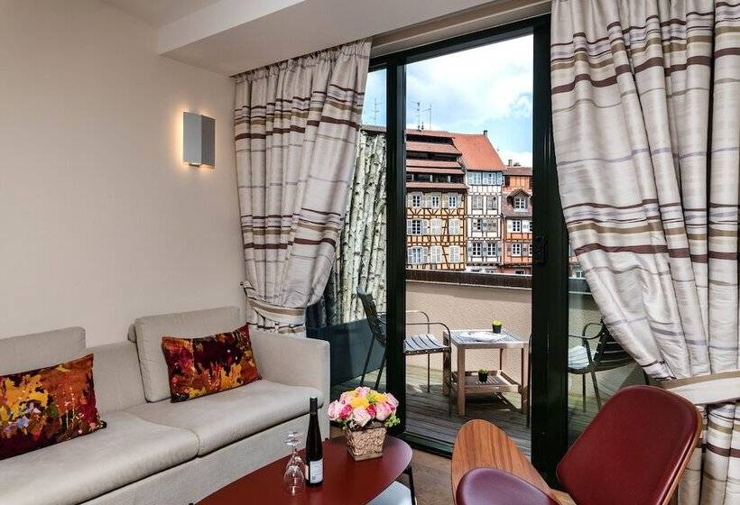 Полулюкс, & Spa Regent Petite France