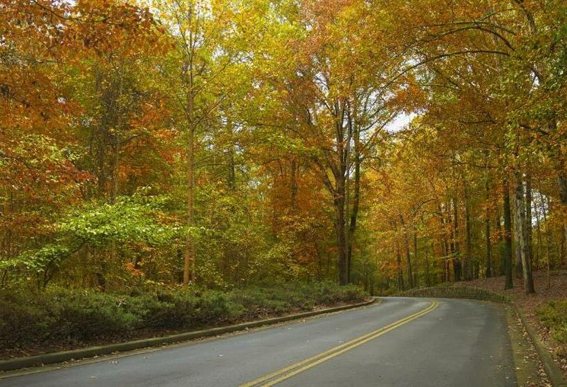 غرفة قياسية سرير كينج, Atlanta Evergreen Lakeside Resort