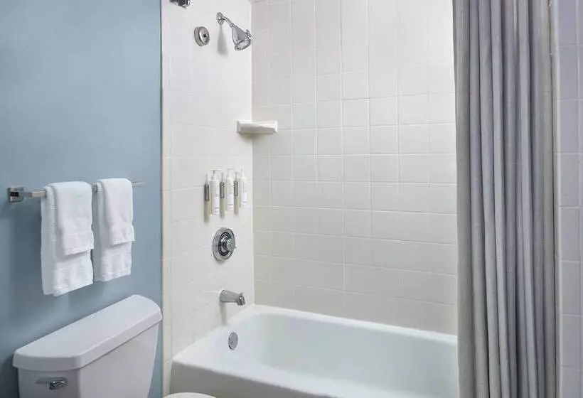 2ダブルベッドのスタンダードルーム, Atlanta Evergreen Lakeside Resort