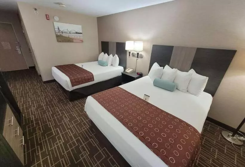 Standard-huone, Best Western Airport Inn