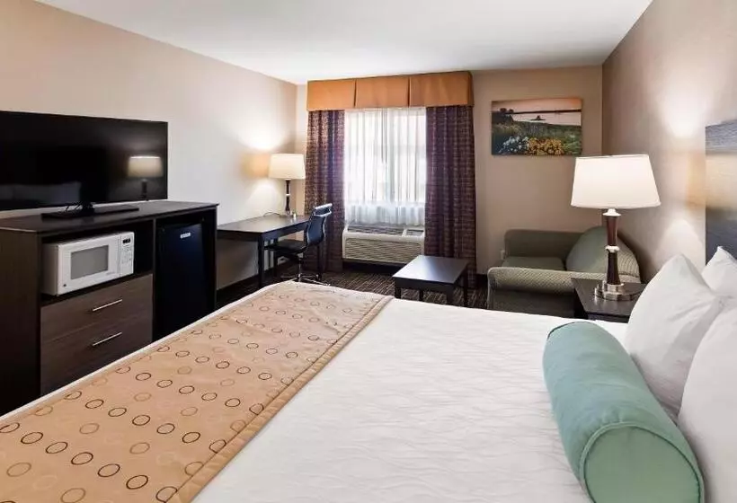 Deluxe-huone King-vuode, Best Western Airport Inn