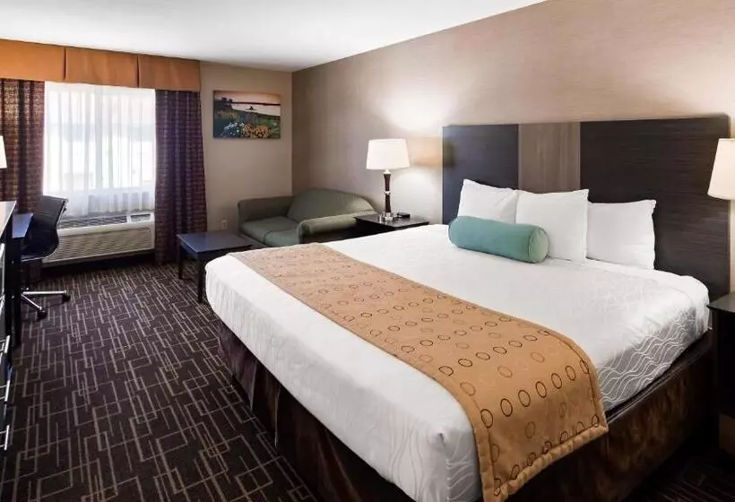 Deluxe-huone King-vuode, Best Western Airport Inn