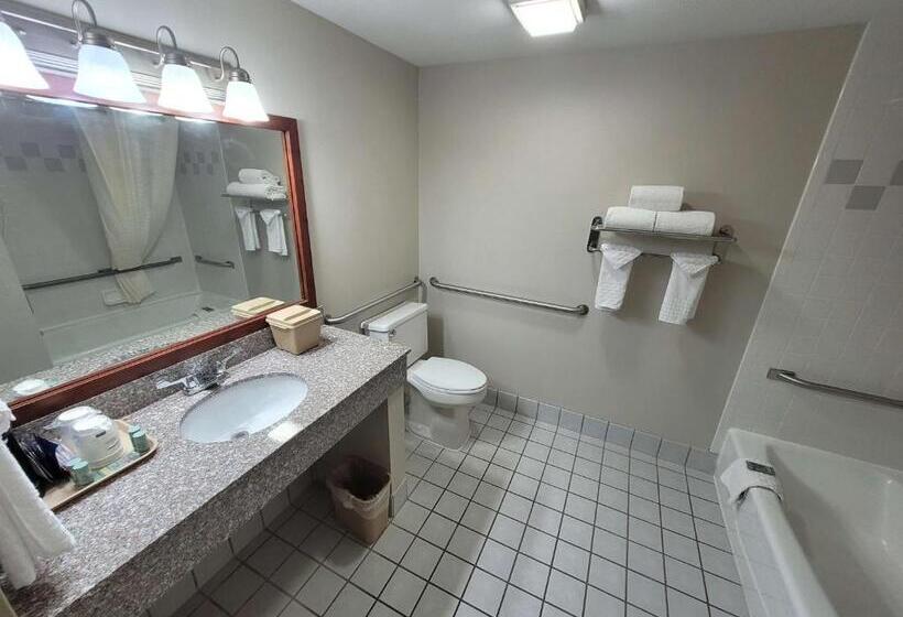 Номер Стандарт Адаптированный для Инвалидов, Best Western Airport Inn