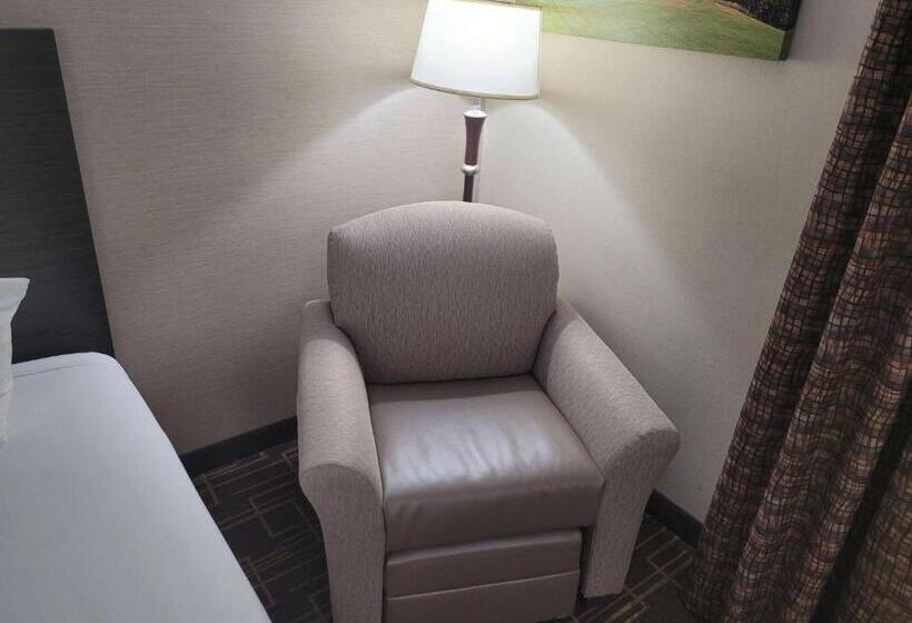 스탠다드 룸 킹사이즈 침대, Best Western Airport Inn