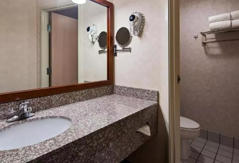 Sviitti King-vuode, Best Western Airport Inn