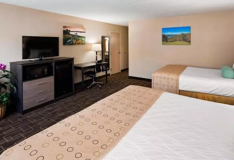 Standard-huone Queen-vuode, Best Western Airport Inn