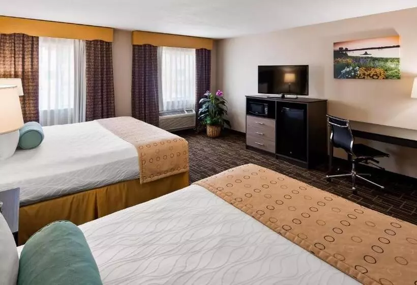 Standard-huone Queen-vuode, Best Western Airport Inn