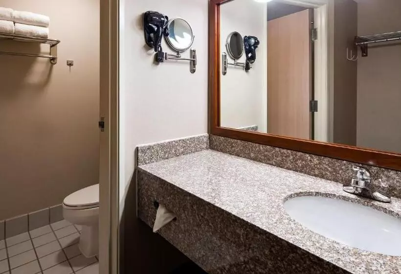 キングサイズベッドのエクゼクティブ, Best Western Airport Inn