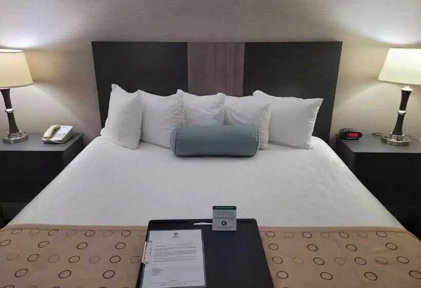 キングサイズベッドのエクゼクティブ, Best Western Airport Inn