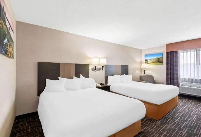 スタンダードルーム, Best Western Airport Inn