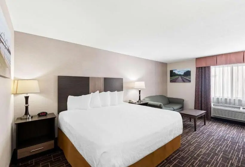 キングサイズベッドのデラックスルーム, Best Western Airport Inn