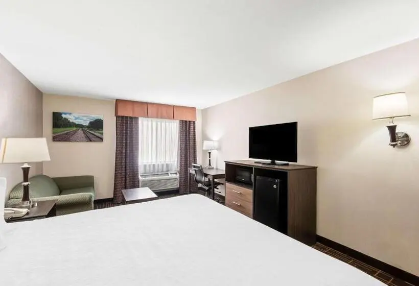 キングサイズベッドのデラックスルーム, Best Western Airport Inn