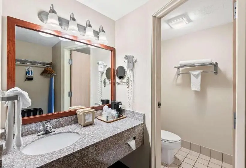 クイーンサイズベッドのスタンダードルーム, Best Western Airport Inn