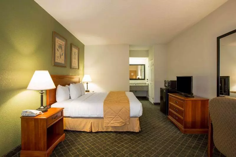キングサイズベッドのスタンダードルーム, Clarion Inn & Suites Aiken South